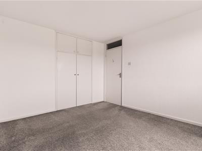 Picture 24